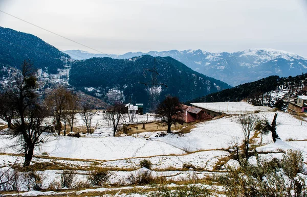 Patnitop Una Ciudad Jammu Parque Cubierto Nieve Blanca Paisaje Invierno —  Fotos de Stock