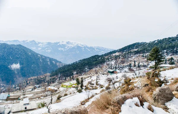 Patnitop Una Ciudad Jammu Parque Cubierto Nieve Blanca Paisaje Invierno — Foto de Stock
