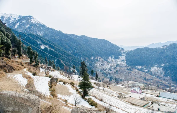 Patnitop Stad Jammu Och Dess Park Täckt Med Vit Snö — Stockfoto