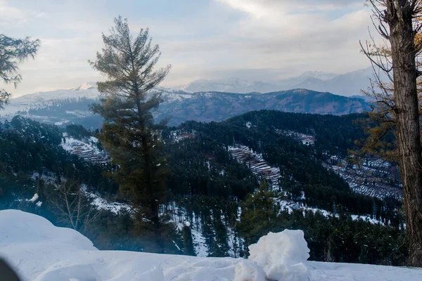 Patnitop Una Ciudad Jammu Parque Cubierto Nieve Blanca Paisaje Invierno — Foto de Stock