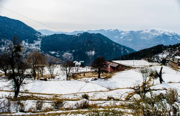 Patnitop Una Città Jammu Suo Parco Coperto Neve Bianca Paesaggio — Foto Stock