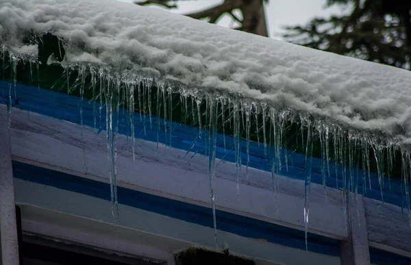 Dighe Ghiaccio Con Tetto Freddo Patnitop Jammu India Paesaggio Invernale — Foto Stock