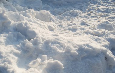 Nathatop, Patnitop Jammu 'da taze kar dokusu olan doğal kış geçmişi.