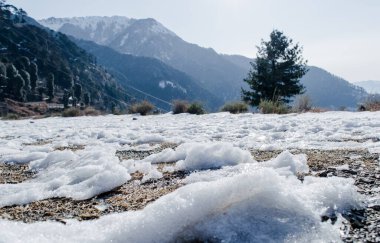 Nathatop, Patnitop Jammu 'da taze kar dokusu olan doğal kış geçmişi.