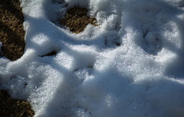 Естественный Зимний Фон Свежей Текстурой Снега Nathatop Patnitop Jammu — стоковое фото