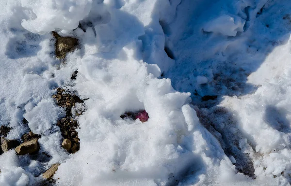 Fundo Natural Inverno Com Textura Neve Fresca Nathatop Patnitop Jammu — Fotografia de Stock