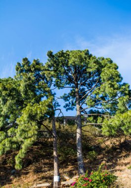 güzel şehir ve himalaya dağ manzarası vaishnodevi, patnitop ve Nathtop Jammu dağından