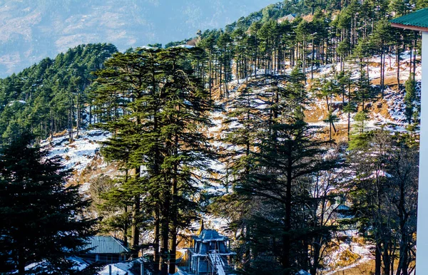 Drzewa Pokryte Białym Śniegiem Himalajskim Paśmie Górskim Jammu — Zdjęcie stockowe
