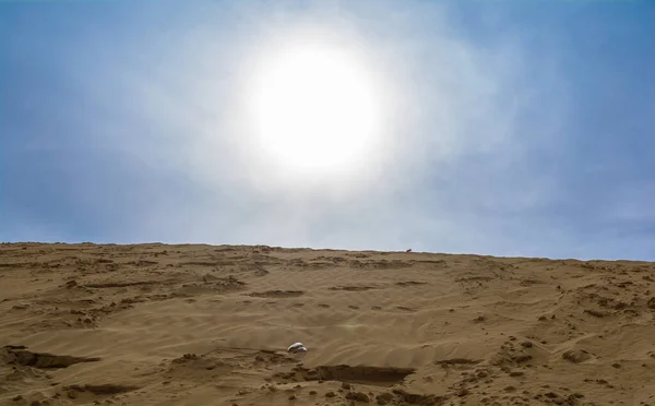 Poušť Jaisalmer Zlaté Město Ideální Lákadlo Pro Milovníky Cestování Sam — Stock fotografie