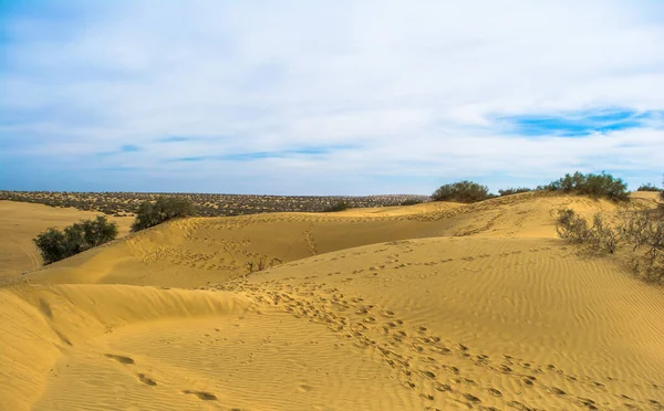 黄金城贾萨默沙漠 是旅游胜地 山姆沙丘的理想景点 — 图库照片