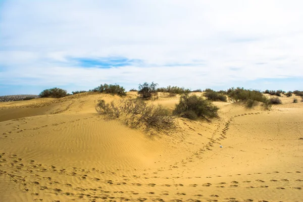 Desierto Jaisalmer Ciudad Dorada Atractivo Ideal Para Los Entusiastas Los — Foto de Stock