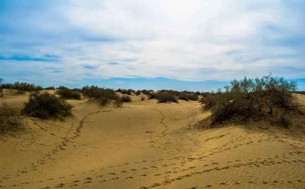 Poušť Jaisalmer Zlaté Město Ideální Lákadlo Pro Milovníky Cestování Sam — Stock fotografie