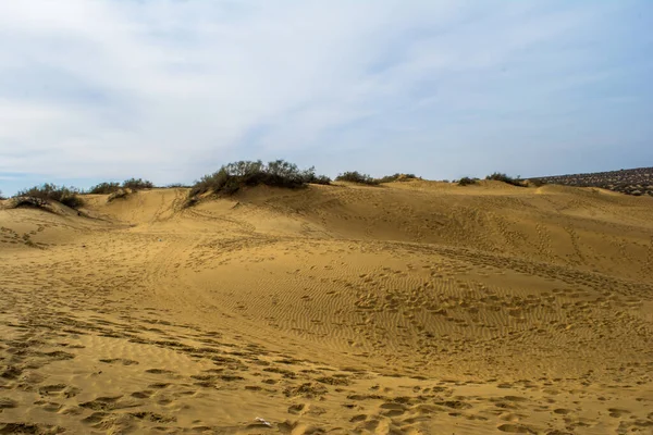 Desierto Jaisalmer Ciudad Dorada Atractivo Ideal Para Los Entusiastas Los — Foto de Stock