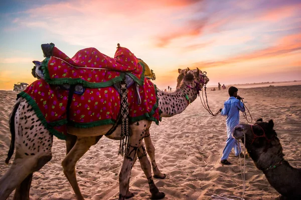Sunset View Sam Sand Dunes Jaisalmer Golden City Ideal Allure — Stock Photo, Image