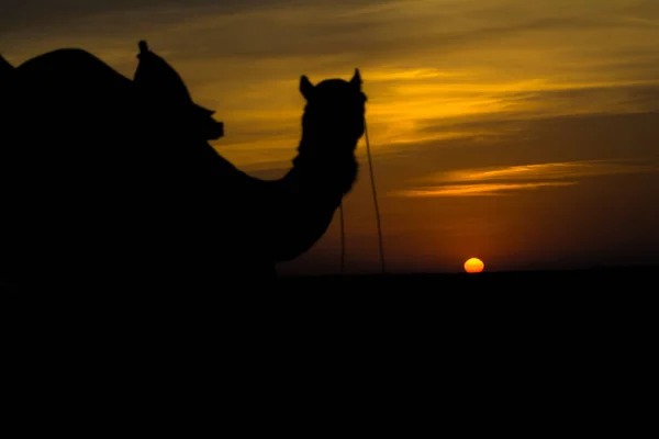 Solnedgång Utsikt Över Sam Sanddyner Jaisalmer Den Gyllene Staden Idealisk — Stockfoto