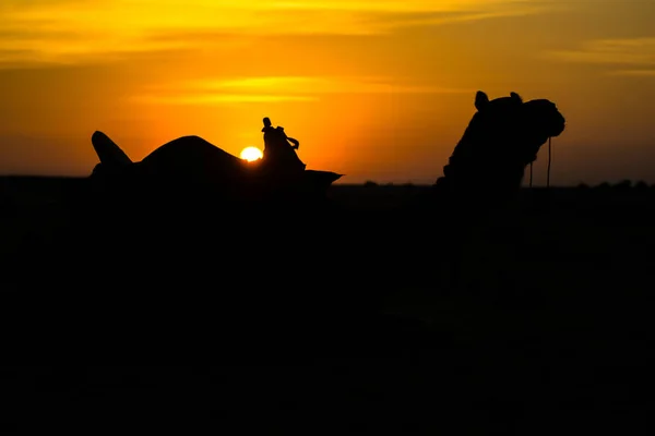 Pôr Sol Dunas Areia Sam Jaisalmer Cidade Dourada Fascínio Ideal — Fotografia de Stock