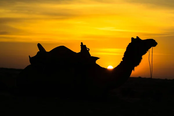 Naplemente Kilátás Sam Homokdűnék Jaisalmer Arany Város Ideális Csábító Utazás — Stock Fotó