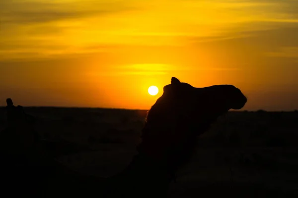 Pôr Sol Dunas Areia Sam Jaisalmer Cidade Dourada Fascínio Ideal — Fotografia de Stock