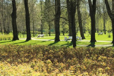Yeşil kapının manzarası