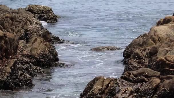 Las Olas Del Mar Estrellan Las Rocas Playa Patong Isla — Vídeo de stock