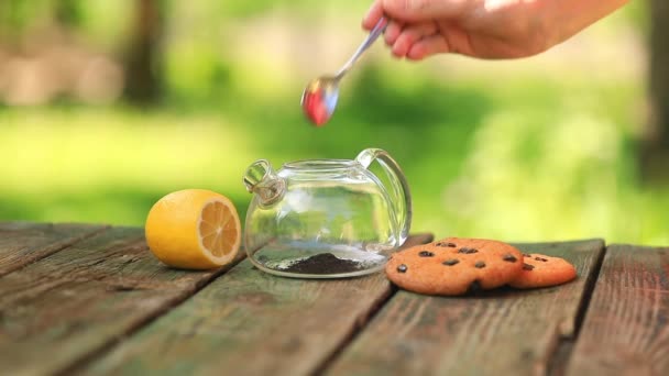 Woman Brewing Black Tea Transparent Teapot — Stok Video