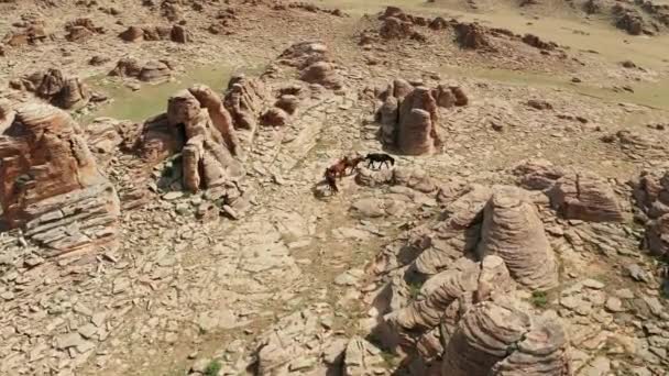 Luchtfoto Van Baga Gazriin Chuluu Rocky Desert Gobi Mongolië — Stockvideo