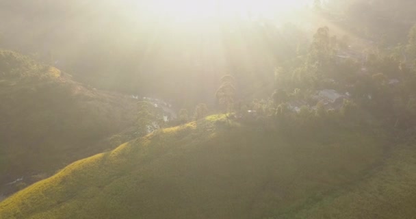 Luchtfoto Van Heuvels Met Theeplantage Misty Morning Sri Lanka — Stockvideo