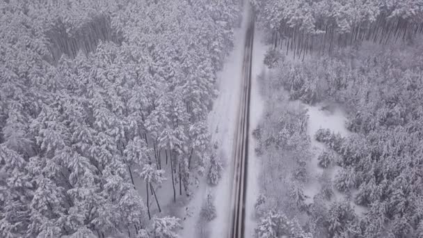 Luchtfoto Van Besneeuwd Bos Met Een Weg Vanboven Gevangen Met — Stockvideo