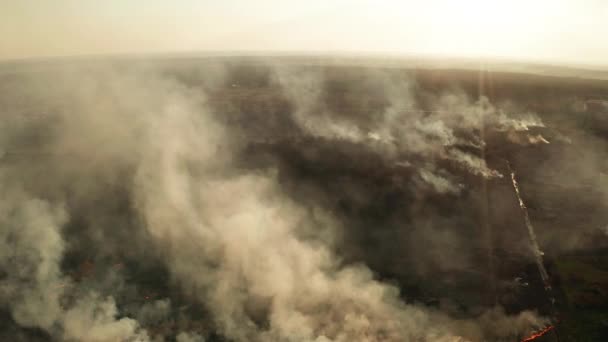 Αεροφωτογραφία Της Wildfire Στο Δάσος Burning Forest Και Τεράστια Σύννεφα — Αρχείο Βίντεο