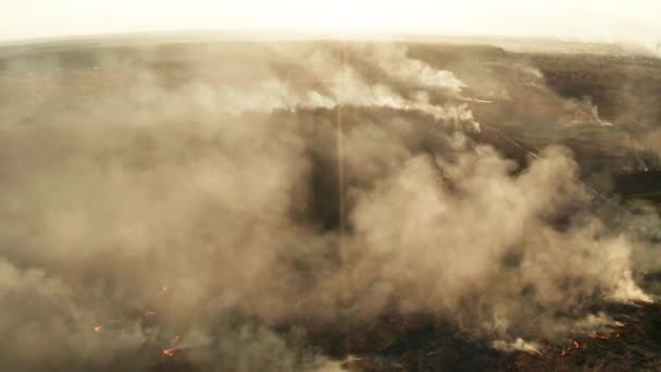 Αεροφωτογραφία Του Wildfire Στο Γήπεδο Τεράστια Σύννεφα Καπνού — Αρχείο Βίντεο