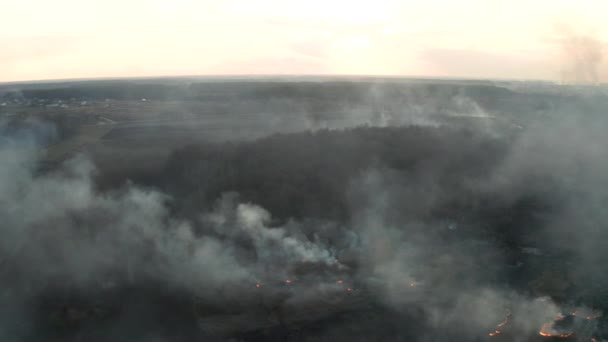 Αεροφωτογραφία Του Wildfire Στο Γήπεδο Τεράστια Σύννεφα Καπνού — Αρχείο Βίντεο