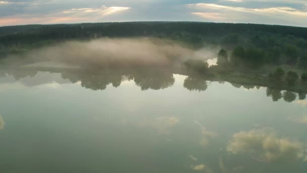 Прекрасна Туманність Світанок Навесні Річці — стокове відео