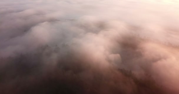 美しいミスティ ドーン 雲の上を飛ぶドローン動画 — ストック動画