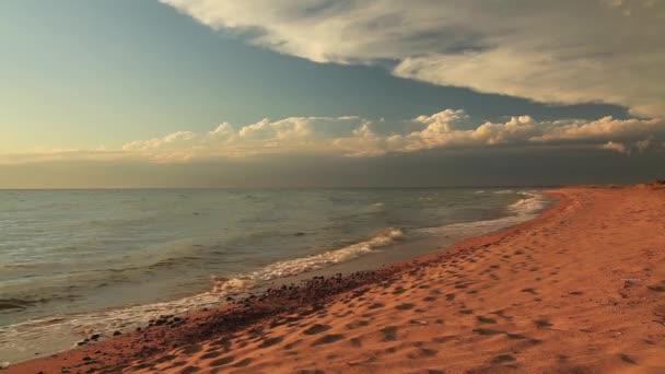 ดวงอาท ตกท สวยงามบนชายหาดทรายเขตร — วีดีโอสต็อก