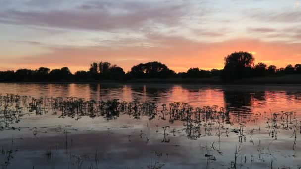Belo pôr-do-sol na margem do lago. Férias — Vídeo de Stock