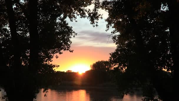 Hermosa puesta de sol en la orilla del lago. Vacaciones de verano. Pelusa de álamo — Vídeo de stock