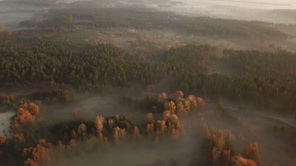 Bosque Lago Niebla Mañana — Vídeos de Stock