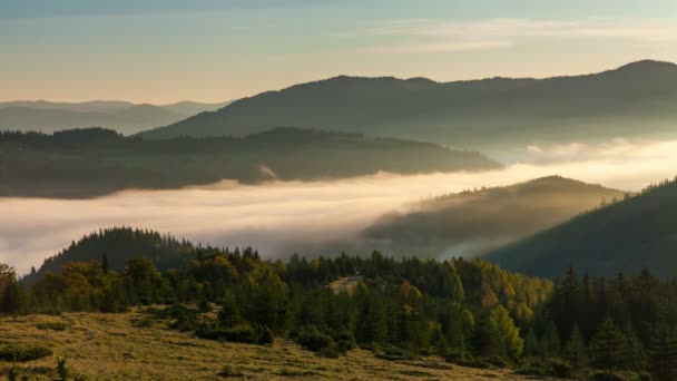 Misty Αυγή Στα Βουνά Όμορφο Τοπίο Φθινόπωρο — Αρχείο Βίντεο
