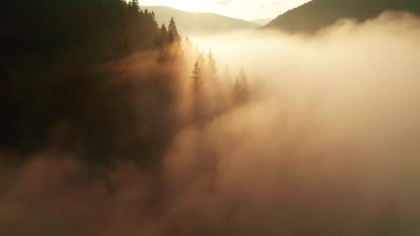 山の中で霧の夜明け 美しい風景 — ストック動画