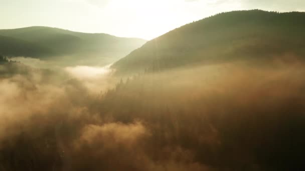 Amanecer Brumoso Las Montañas Hermoso Paisaje — Vídeo de stock