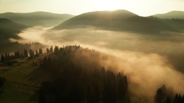 Misty Αυγή Στα Βουνά Όμορφο Τοπίο — Αρχείο Βίντεο