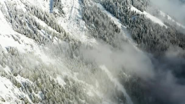 Nebliger Sonnenaufgang Winterwald Den Bergen Alpen Schweiz — Stockvideo