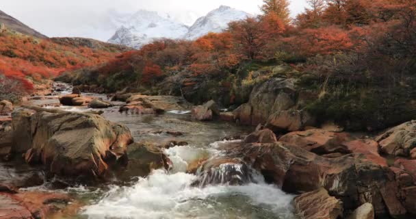 Górska Rzeka Góra Fitz Roy Patagonia — Wideo stockowe