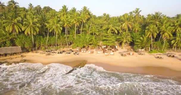 Ondas Oceânicas Pôr Sol Sri Lanka — Vídeo de Stock
