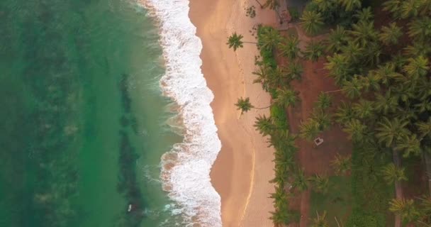 Ocean Waves Zachodzie Słońca Sri Lanka Piękna Tropical Beach Palm — Wideo stockowe