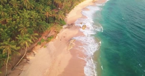Ozeanwellen Bei Sonnenuntergang Sri Lanka Schöner Tropischer Strand Mit Palmen — Stockvideo