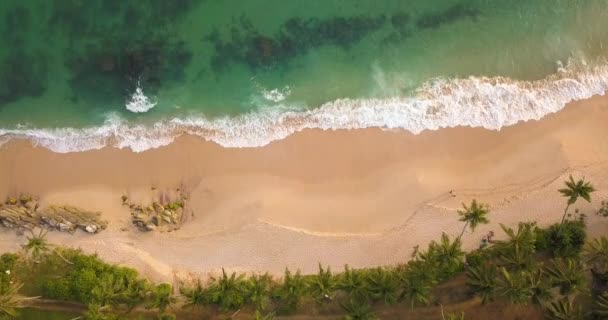 Óceánhullámok Naplementekor Srí Lanka Gyönyörű Trópusi Strand Palm — Stock videók