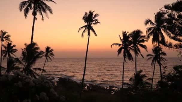 Palmer Stranden Tropisk Strand Vid Solnedgången Sri Lanka — Stockvideo