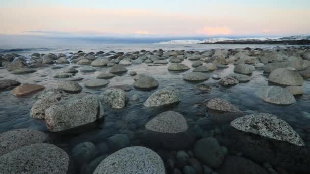 日落时分 巴伦支海的岩石海岸 — 图库视频影像