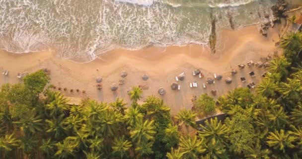 Романтичний Сансет Тропічному Пляжі Пальмовими Деревами Sri Lanka Drone Footage Стоковий Відеоролик